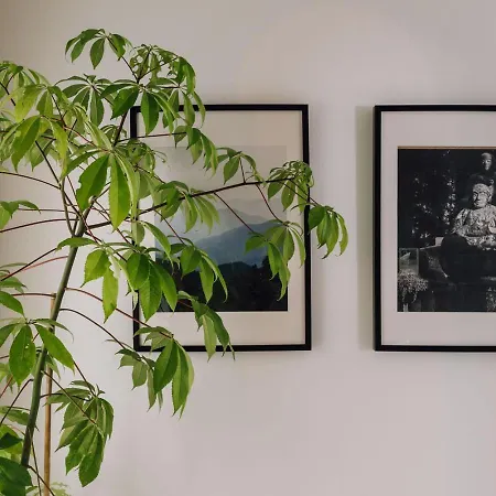 Koya - 2 Bedrooms In Santos Apartment Lisbon